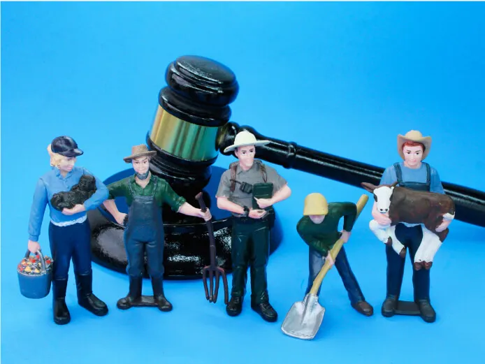 Guía completa sobre los derechos laborales de los migrantes en España